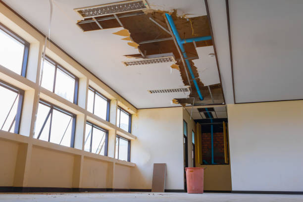  Holliday, TX Water damage restoration Pros