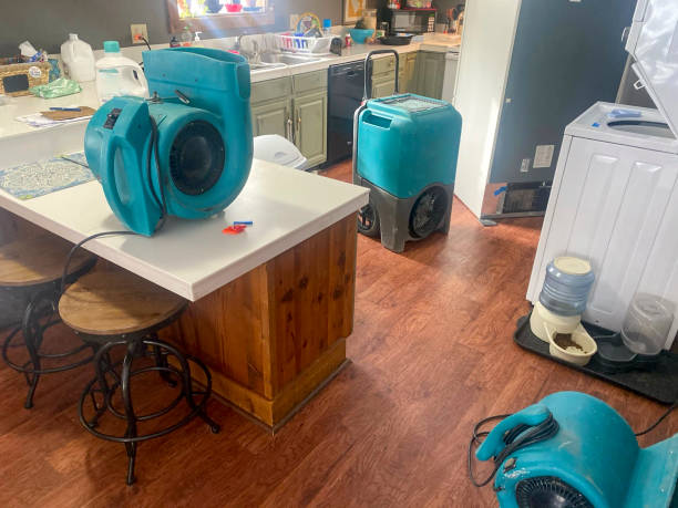 Sewage cleanup and water damage restoration in Holliday, TX