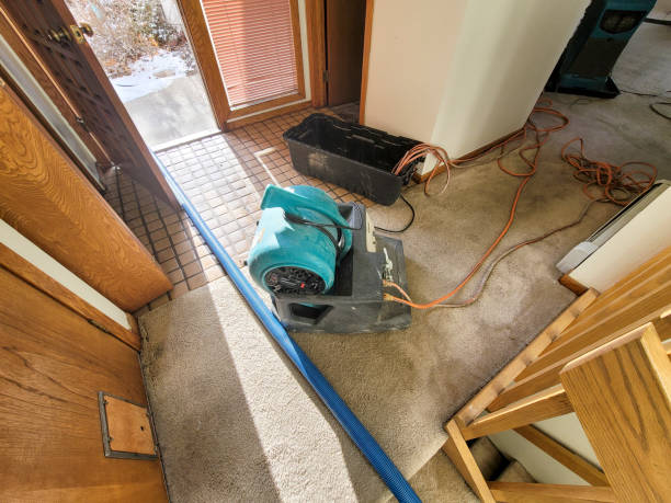 Best Flood restoration services  in Holliday, TX