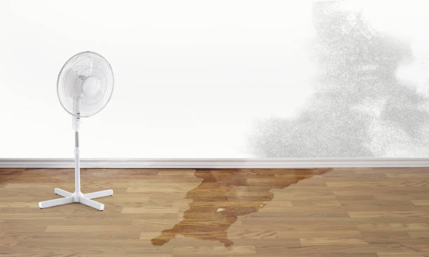 Best Emergency water damage restoration  in Holliday, TX