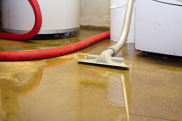 Best Water damage contractors near me  in Holliday, TX