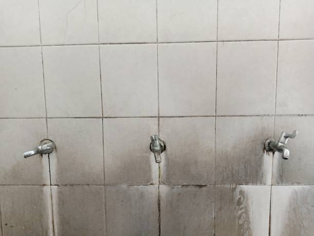 Best Water damage cleanup near me  in Holliday, TX