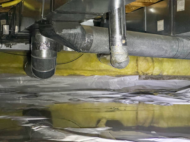 Best Flood damage cleanup  in Holliday, TX