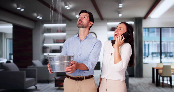 Best Sewage cleanup and water damage restoration  in Holliday, TX