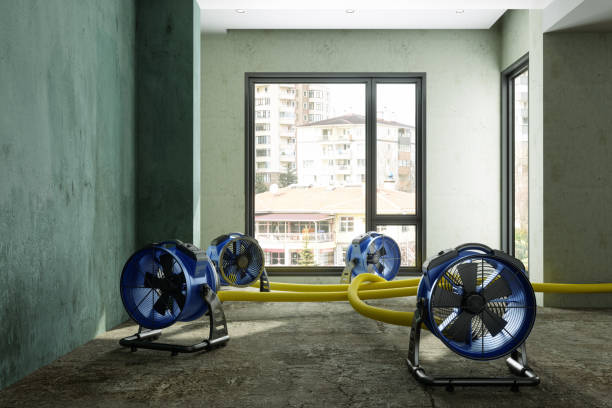 Best Flood restoration services  in Holliday, TX